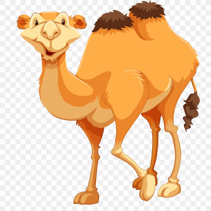 Camel Clip Art, PNG, 4960x4957px, Camel, Arabian Camel, Book Illustration, Camel Like Mammal, Drawing Download Free