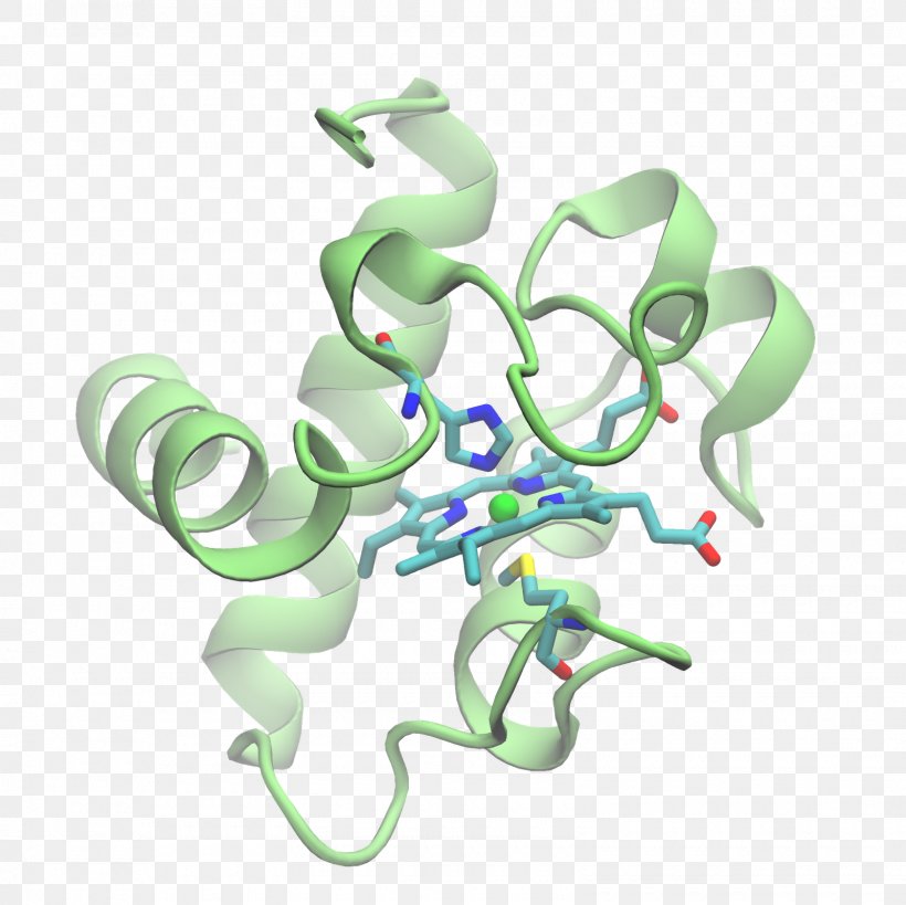 Chlamydomonas Reinhardtii Cytochrome C Cytochrom C6 Cytochrome B, PNG, 1600x1600px, Watercolor, Cartoon, Flower, Frame, Heart Download Free