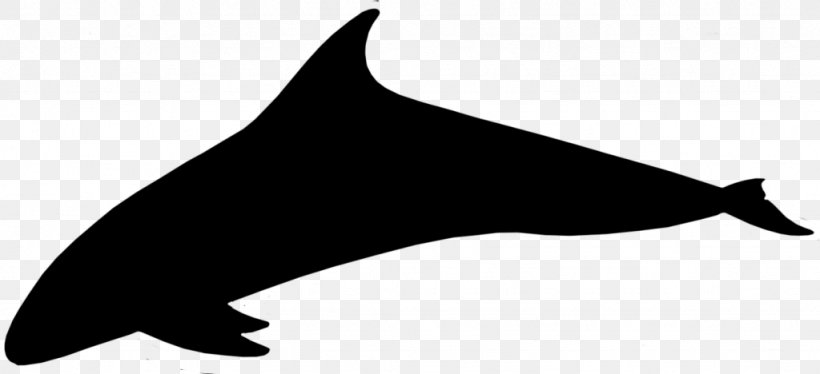 Dolphin Porpoise Clip Art Silhouette Line, PNG, 1024x468px, Dolphin, Black M, Common Dolphins, Fin, Marine Mammal Download Free