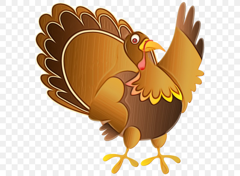 Thanksgiving, PNG, 591x600px, Watercolor, Beak, Bird, Chicken, Paint Download Free