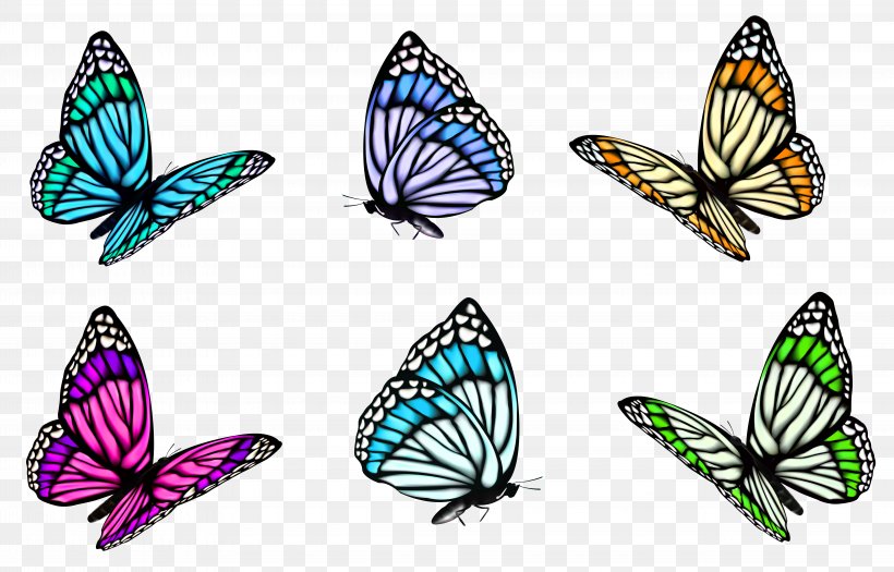 Full-Color Decorative Butterfly Illustrations Clip Art, PNG, 8165x5229px, Butterfly, Brush Footed Butterfly, Butterflies And Moths, Color, Greta Oto Download Free