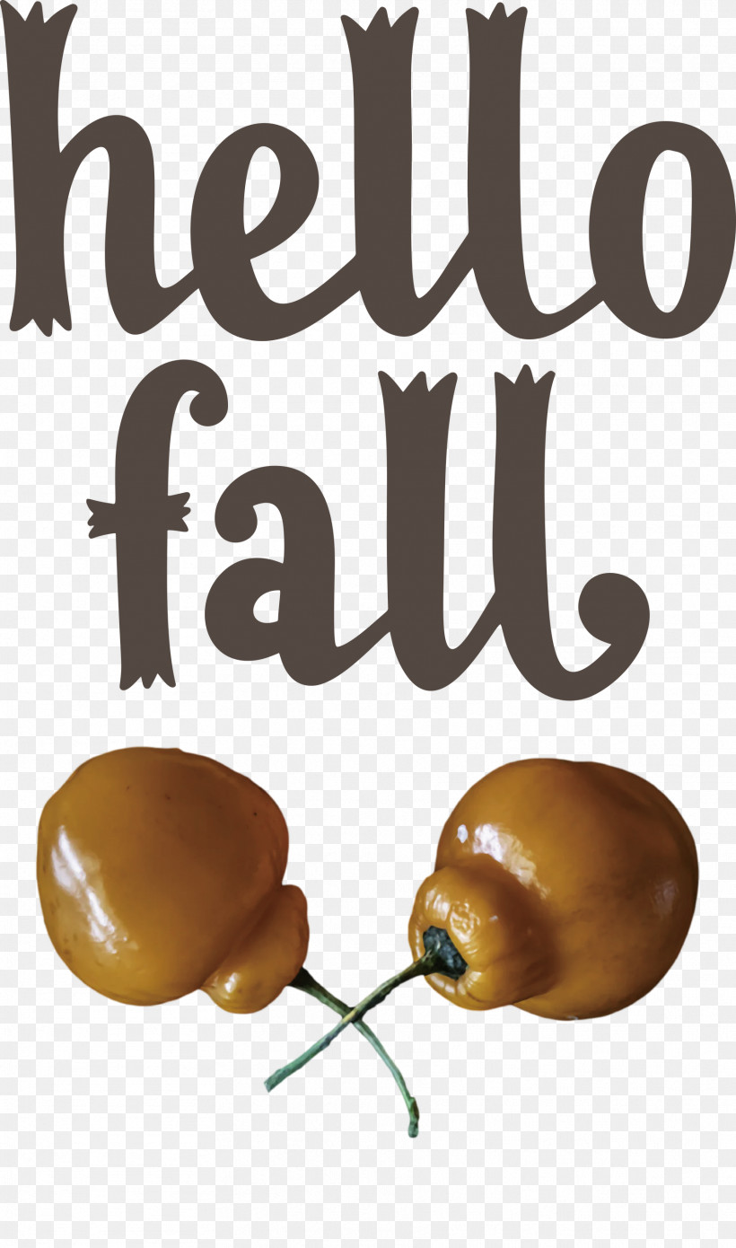 Hello Fall Fall Autumn, PNG, 1769x3000px, Hello Fall, Autumn, Fall, Meter Download Free