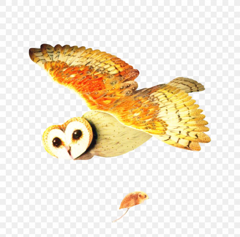 Owl Cartoon, PNG, 1417x1400px, Owl, Barn Owl, Beak, Bird, Bird Of Prey Download Free