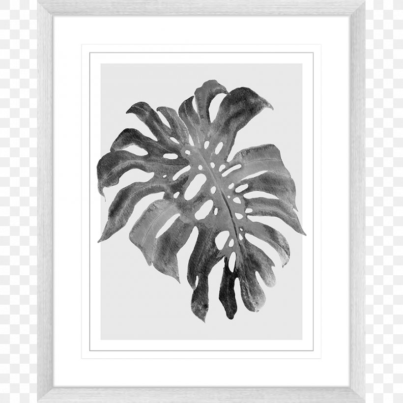 Swiss Cheese Plant Printmaking Art Drawing Paper, PNG, 1000x1000px, Swiss Cheese Plant, Architecture, Art, Artwork, Black And White Download Free