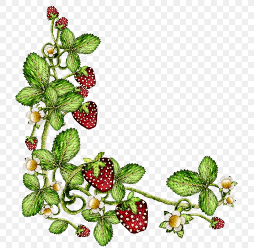 Aedmaasikas Clip Art, PNG, 757x800px, Aedmaasikas, Art, Branch, Flower, Flowering Plant Download Free