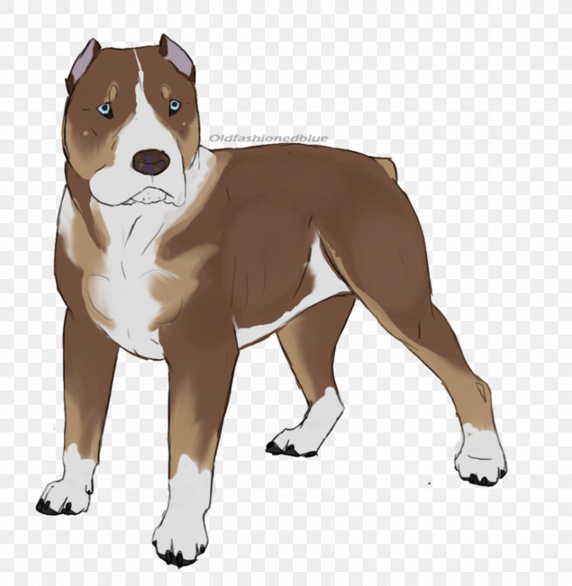 American Staffordshire Terrier American Pit Bull Terrier Staffordshire Bull Terrier Dog Breed, PNG, 883x905px, American Staffordshire Terrier, American Pit Bull Terrier, Animal, Breed, Breed Group Dog Download Free