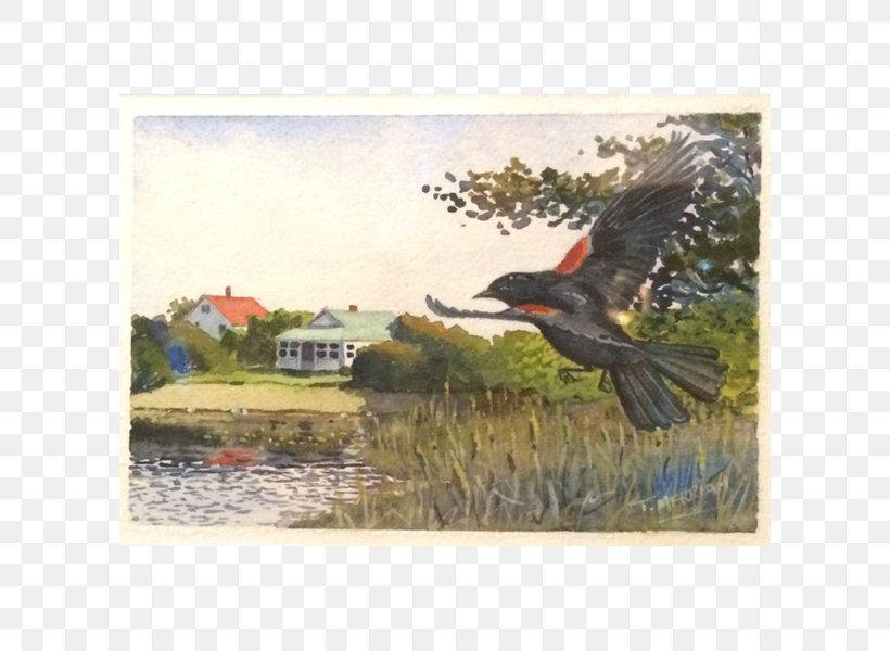 Beak Goose Cygnini Duck Painting, PNG, 600x600px, Beak, Anatidae, Bird, Cygnini, Duck Download Free