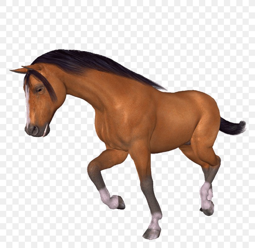 Horse Paintbrush, PNG, 782x800px, Horse, Adobe Indesign, Animal Figure, Bridle, Brush Download Free