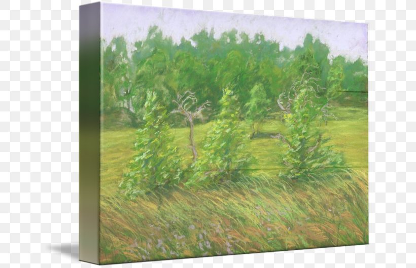 Painting Acrylic Paint Drawing Oil Pastel, PNG, 650x529px, Painting, Acrylic Paint, Agriculture, Art, Artist Download Free