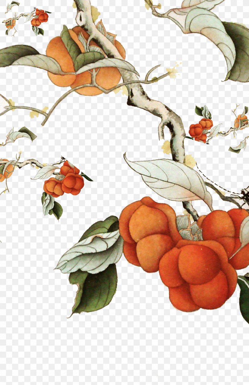 Persimmon Marriage Ink Wash Painting, PNG, 1124x1742px, Persimmon, Apple, Diospyros, Food, Fruit Download Free