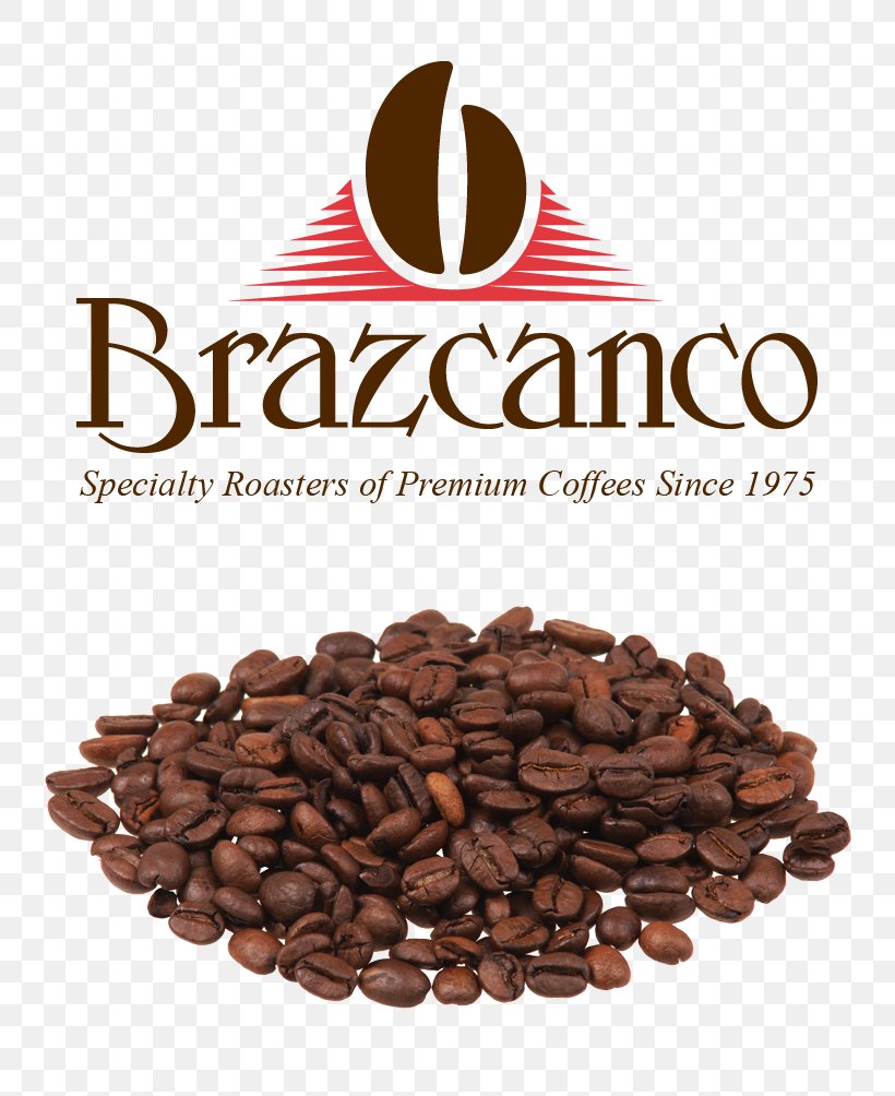 Coffee Bean Cafe Instant Coffee Jamaican Blue Mountain Coffee, PNG, 768x1004px, Coffee, Bean, Cafe, Caffeine, Chocolate Download Free