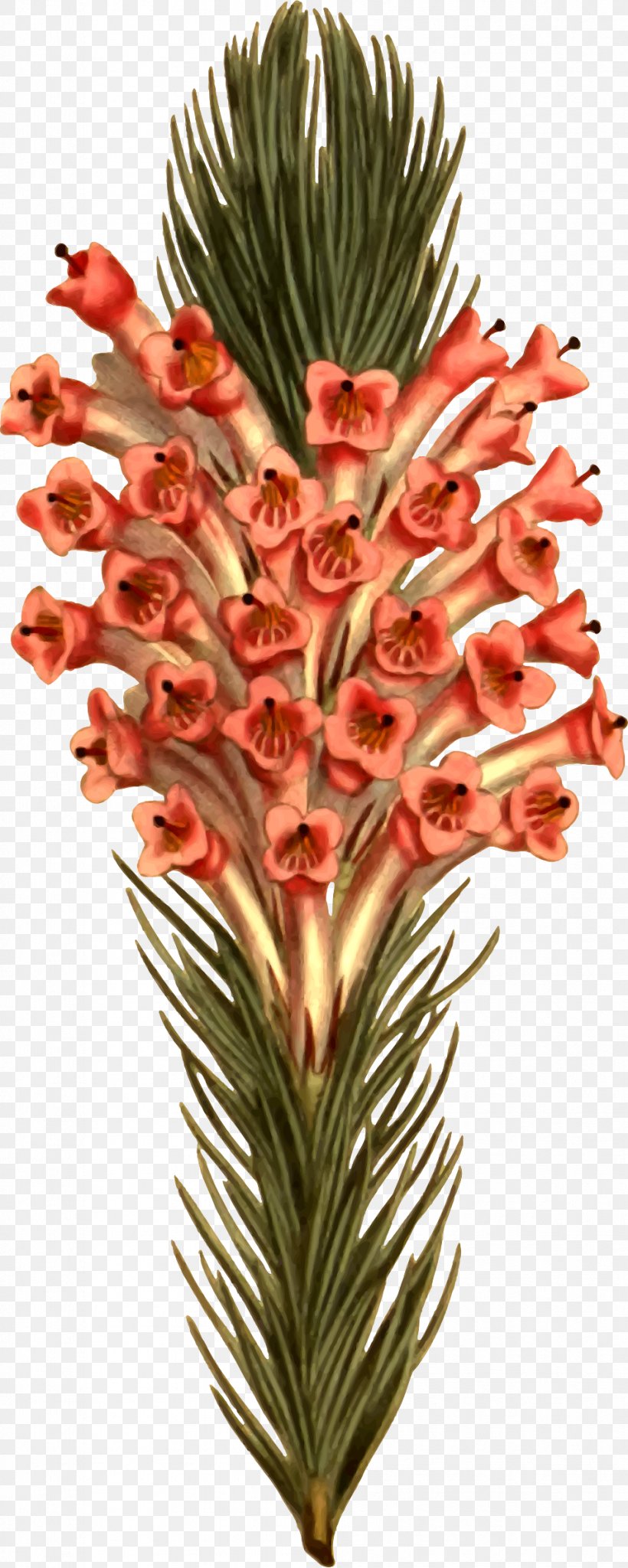 Cut Flowers Flowerpot Plant Stem, PNG, 952x2378px, Cut Flowers, Flower, Flowerpot, Plant, Plant Stem Download Free