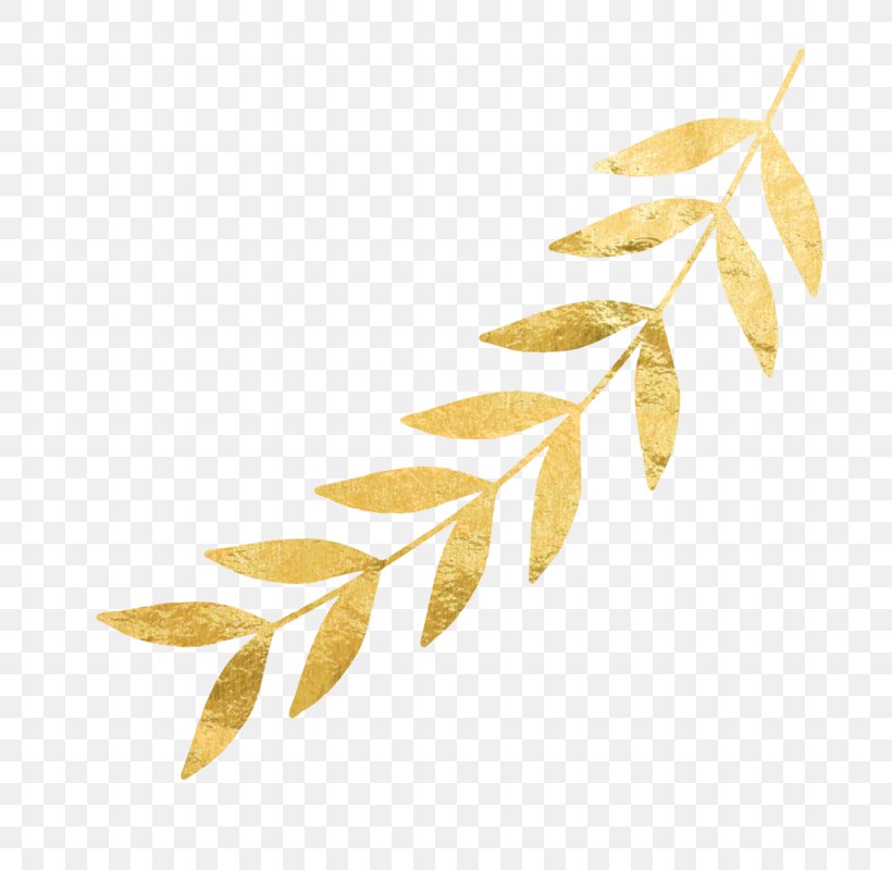 Gold Leaf Twig, PNG, 800x800px, Gold, Branch, Foil, Gold Leaf, Leaf Download Free