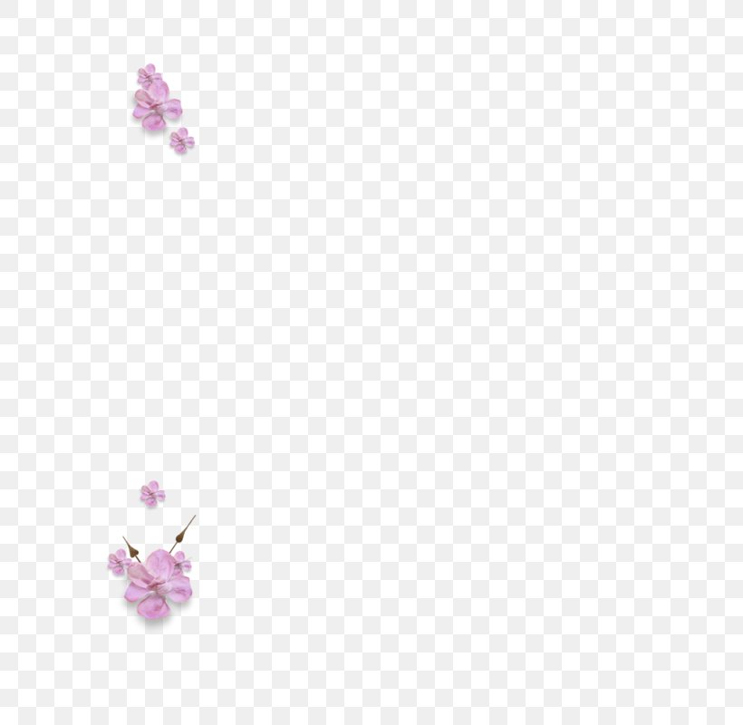 Desktop Wallpaper Amethyst Body Jewellery Petal, PNG, 800x800px, Amethyst, Blossom, Body Jewellery, Body Jewelry, Color Download Free