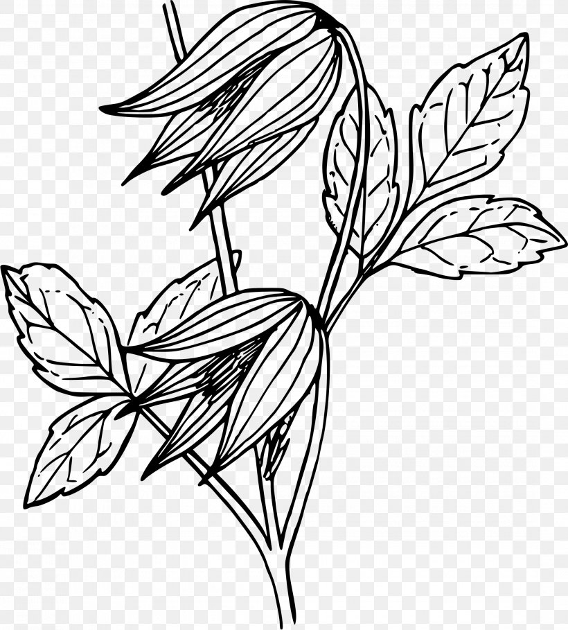 Drawing Leather Flower Vine Clip Art, PNG, 2165x2400px, Drawing, Art, Artwork, Black And White, Branch Download Free