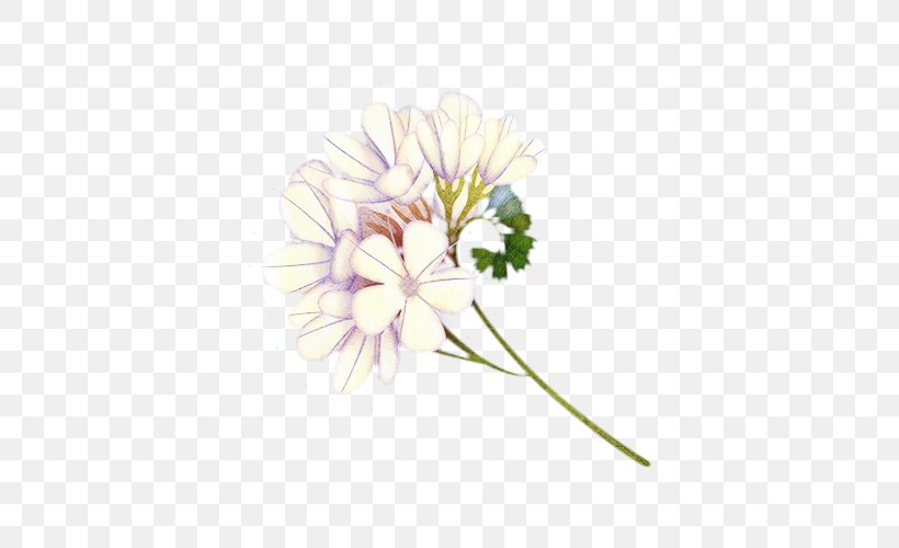 Flowers Background, PNG, 500x500px, Chrysanthemum, Agapanthus, Aster, Camomile, Cut Flowers Download Free