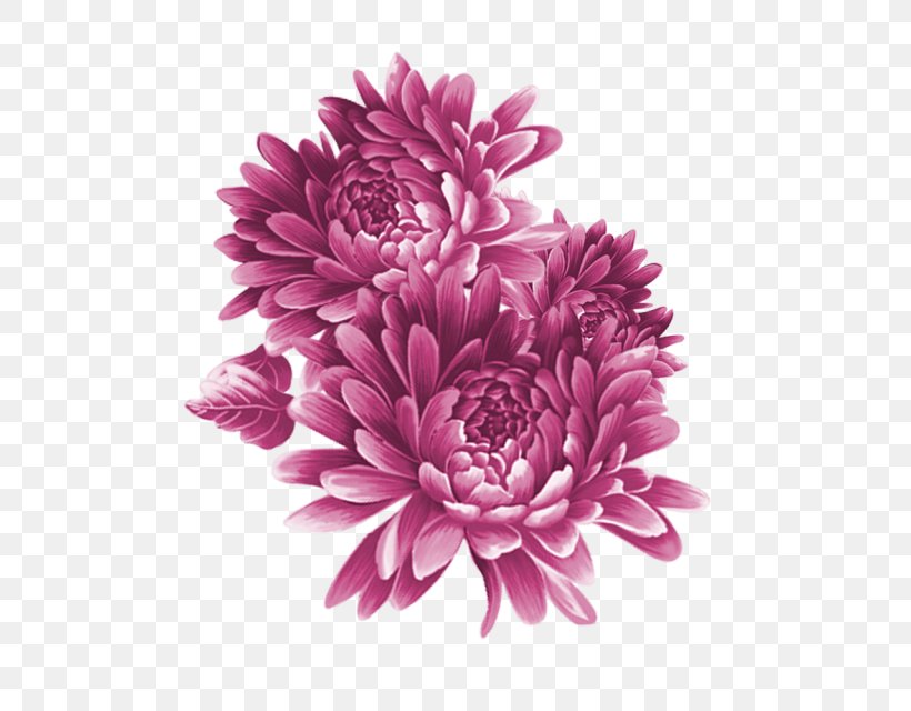 Image Illustration Baidu Tieba, PNG, 640x640px, Baidu Tieba, Aster, Baidu, Blog, Chrysanths Download Free