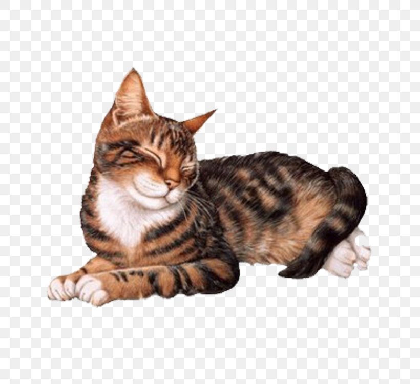 Love Hug Wallpaper, PNG, 750x750px, Love, American Shorthair, American Wirehair, Bengal, California Spangled Download Free