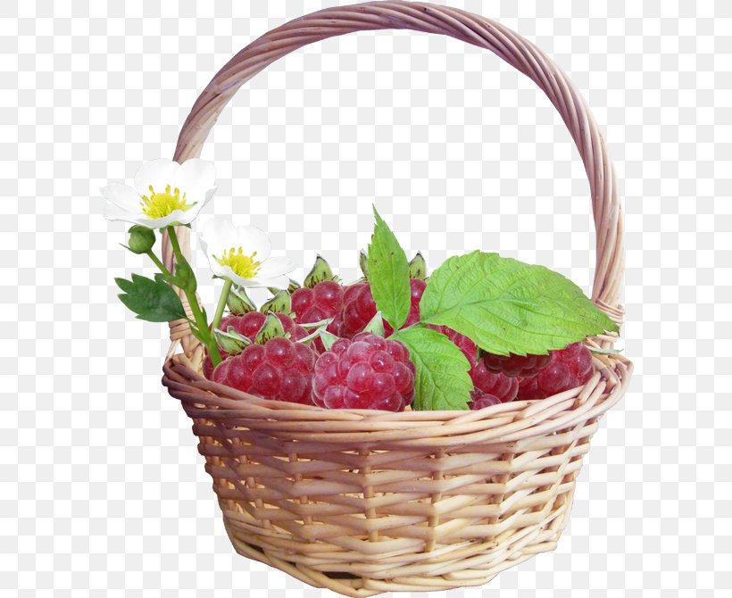 Red Raspberry Fruit, PNG, 600x670px, Raspberry, Auglis, Basket, Berry, Blackberry Download Free