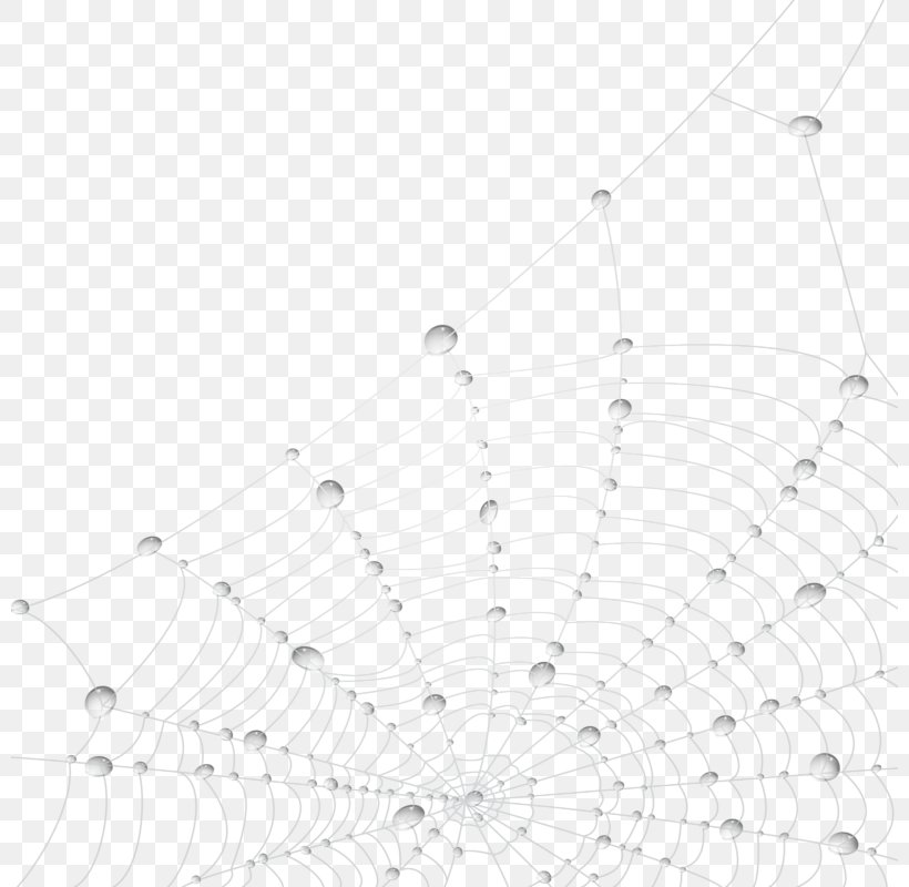 Spider Web, PNG, 800x800px, Spider, Black And White, Computer Network, Drawing, Drop Download Free