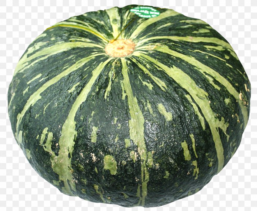 Watermelon Figleaf Gourd Calabaza Pumpkin, PNG, 1022x839px, Cucurbita Maxima, Calabash, Calabaza, Citrullus, Commodity Download Free