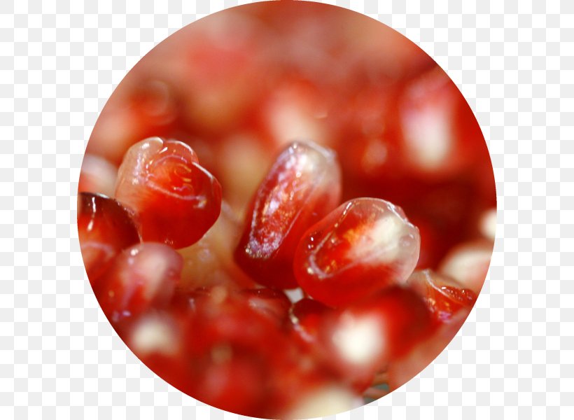 Cranberry Close-up, PNG, 600x600px, Cranberry, Berry, Closeup, Fruit, Natural Foods Download Free