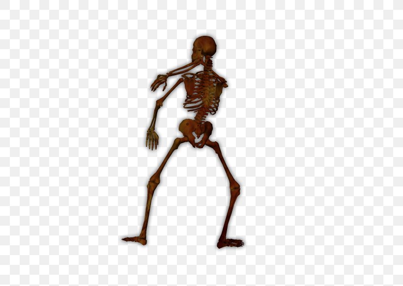 Joint Skeleton Homo Sapiens Figurine, PNG, 558x583px, Joint, Figurine, Homo Sapiens, Human, Mannequin Download Free
