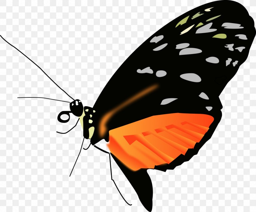 Monarch Butterfly Clip Art, PNG, 1207x1000px, Butterfly, Animal, Arthropod, Brush Footed Butterfly, Byte Download Free