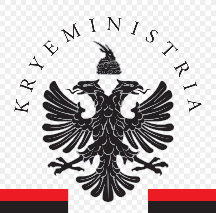 Prime Minister's Office Kosovo Akademia Profesionale E Biznesit Council Of Ministers Organization, PNG, 1200x1186px, Kosovo, Akademia Profesionale E Biznesit, Albania, Albanian, Bird Download Free