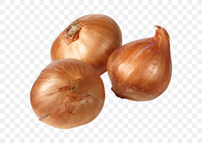 Yellow Onion Shallot, PNG, 580x580px, Yellow Onion, Food, Ingredient, Onion, Onion Genus Download Free