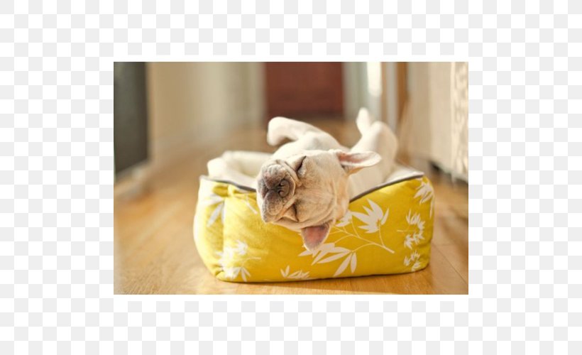 Dog Whiskers Bed Artist Seat, PNG, 500x500px, Dog, Artist, Baby Toddler Car Seats, Bed, Car Download Free