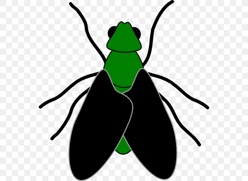 Fly Free Content Website Clip Art, PNG, 564x597px, Fly, Artwork, Beetle, Black Fly, Cartoon Download Free