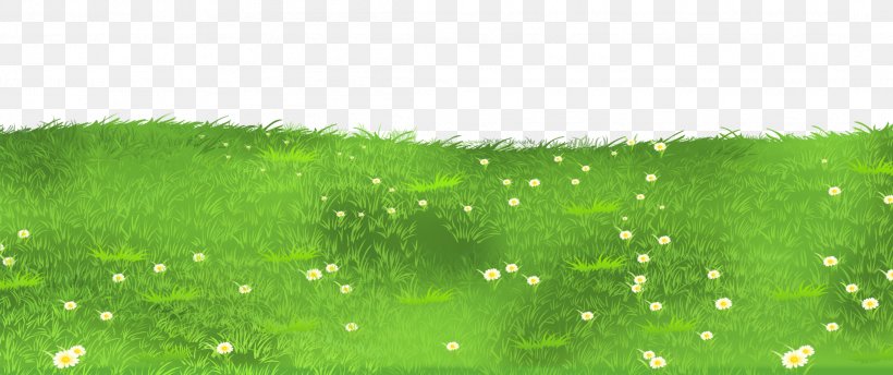 Lawn Grasses Clip Art, PNG, 2188x919px, Lawn, Blog, Garden, Grass, Grass Family Download Free
