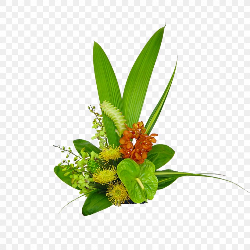 Hawaii Flower Bouquet, PNG, 1200x1200px, Hawaii, Aquarium Decor, Cut Flowers, Floral Design, Floristry Download Free