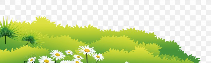 Lawn Meadow Download Google Images, PNG, 2138x642px, Lawn, Archive, Chrysanthemum, Commodity, Computer Download Free