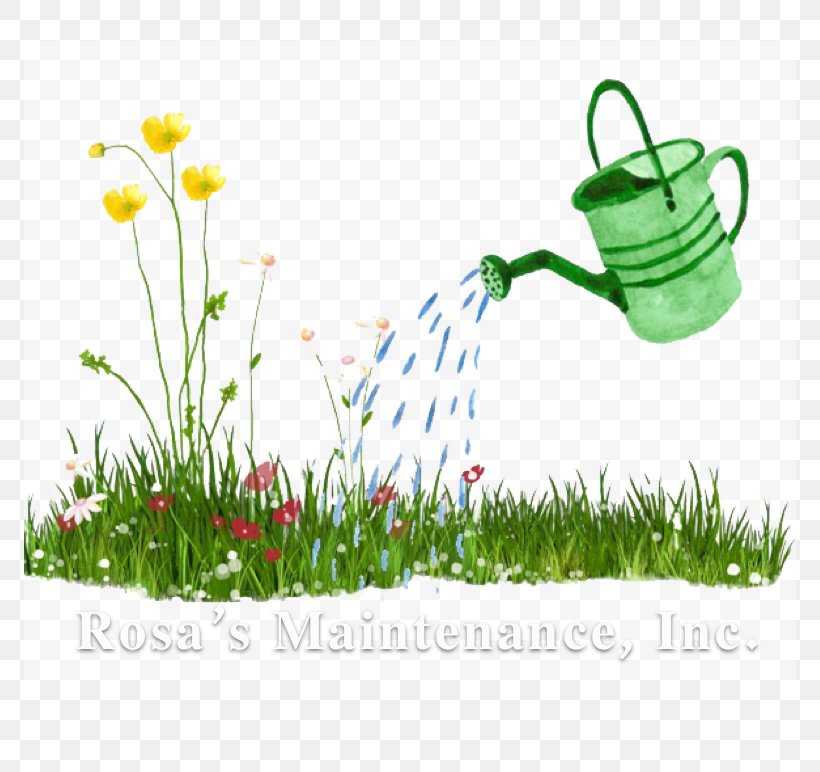 Watering Cans Garden Irrigation Sprinkler Clip Art, PNG, 772x772px, Watering Cans, Can Stock Photo, Flora, Flower, Flowering Plant Download Free
