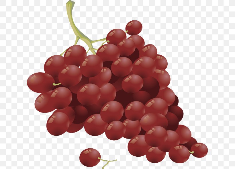 Wine Fruit Salad Common Grape Vine, PNG, 631x589px, Wine, Berry, Cherry, Common Grape Vine, Cranberry Download Free