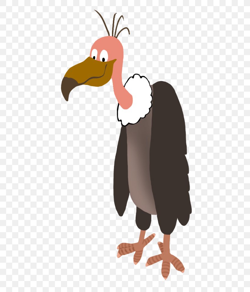 Bird Of Prey Vulture Penguin Clip Art, PNG, 600x956px, Bird, Animal, Beak, Bird Of Prey, Cartoon Download Free
