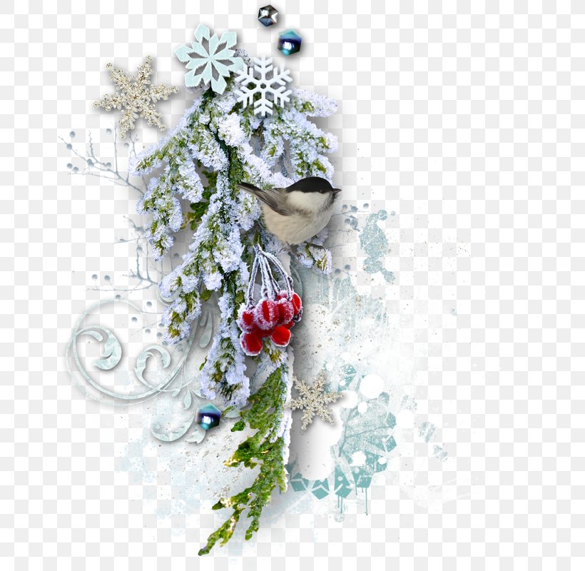 Christmas Picture Frame New Year, PNG, 740x800px, Christmas, Child, Christmas Decoration, Christmas Ornament, Cut Flowers Download Free