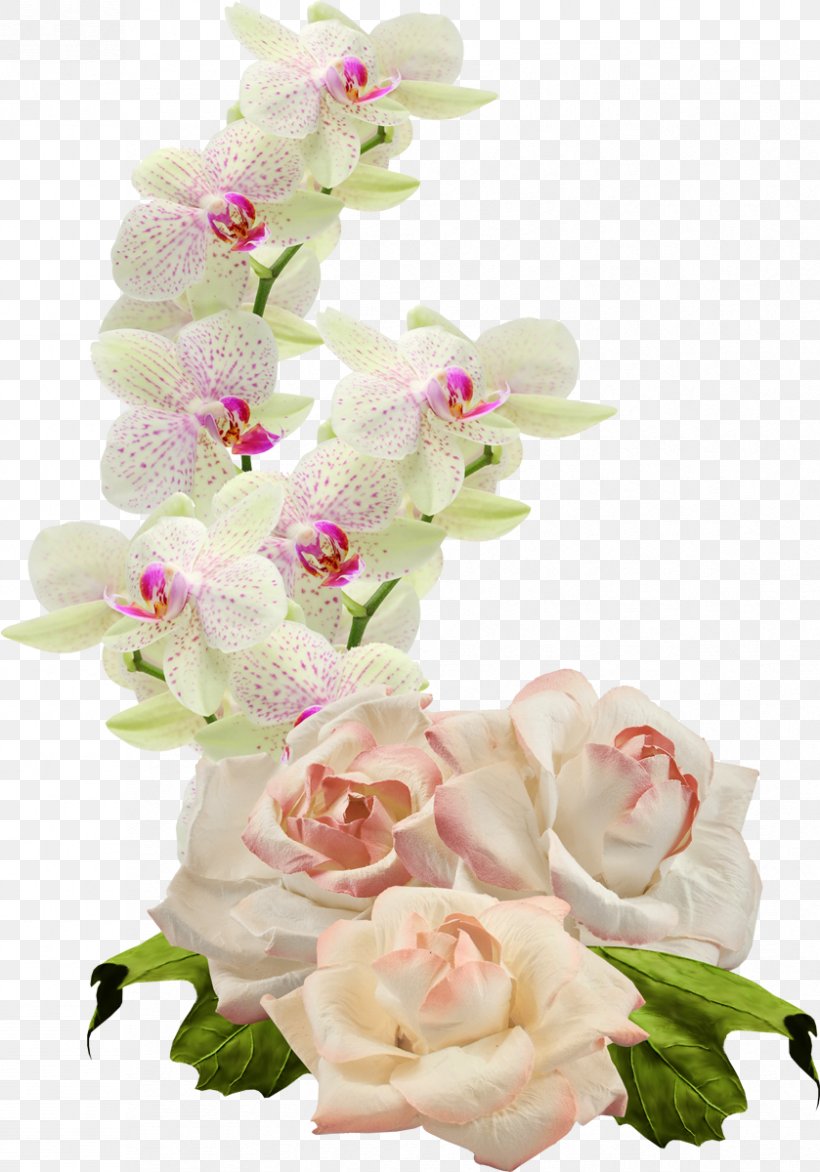Floral Design Cut Flowers Moth Orchids, PNG, 839x1200px, Floral Design, Artificial Flower, Cut Flowers, Floristry, Flower Download Free