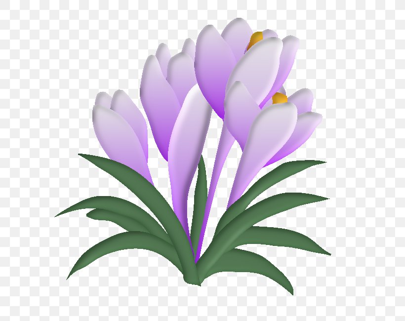 Flowering Plant Drawing Chemical Element, PNG, 680x650px, Flower, Bayan Mod, Chemical Element, Crocus, Drawing Download Free