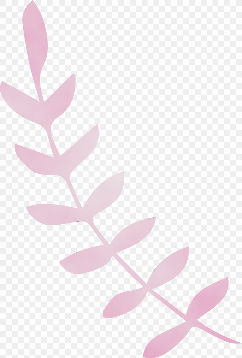 Leaf Pink M Font Line Meter, PNG, 2031x3000px, Leaf Cartoon, Biology, Leaf, Leaf Abstract, Leaf Clipart Download Free