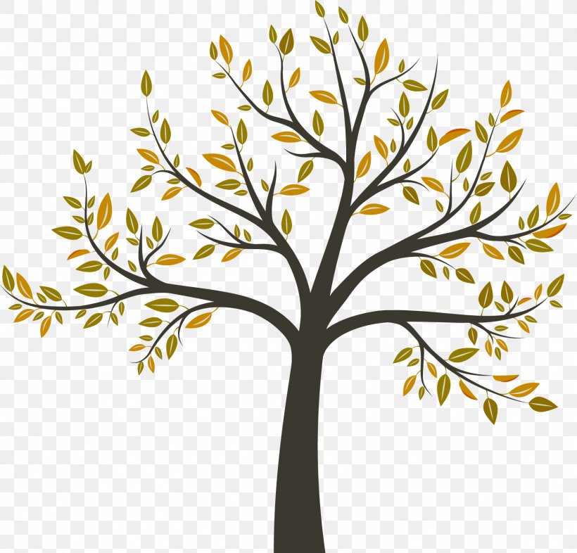 Tree Arborist Arboriculture, PNG, 1715x1645px, Tree, Arboriculture, Arborist, Arecaceae, Branch Download Free