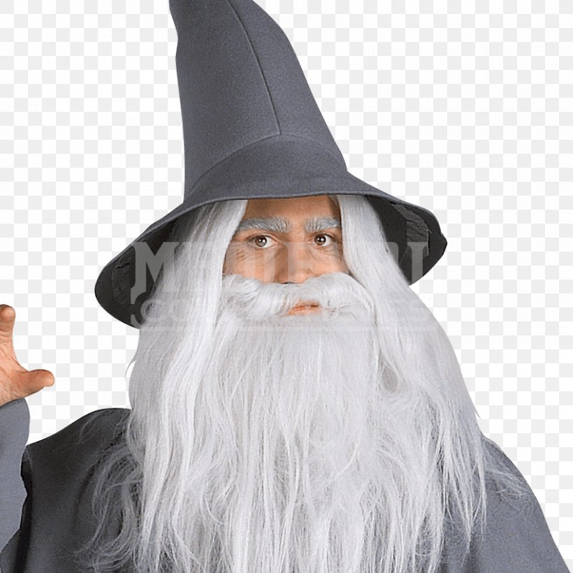 Gandalf The Lord Of The Rings: The Fellowship Of The Ring Frodo Baggins Costume The Hobbit, PNG, 850x850px, Gandalf, Albus Dumbledore, Beard, Burtininkas, Character Download Free