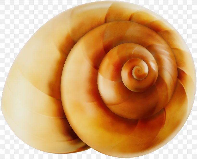 Sea Snail Food Spiral Dish Cuisine, PNG, 3000x2420px, Watercolor, Baked Goods, Conch, Cuisine, Dish Download Free