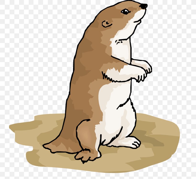 Beaver Prairie Dog Clip Art Bear Illustration, PNG, 743x750px, Beaver, Animal, Animal Figure, Bear, Canidae Download Free