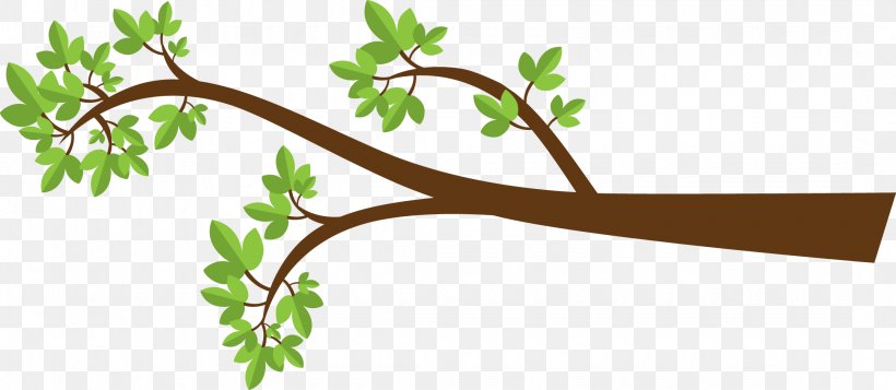 Branch Tree Drawing Clip Art, PNG, 2160x943px, Branch, Drawing, Flora, Flower, Flowering Plant Download Free