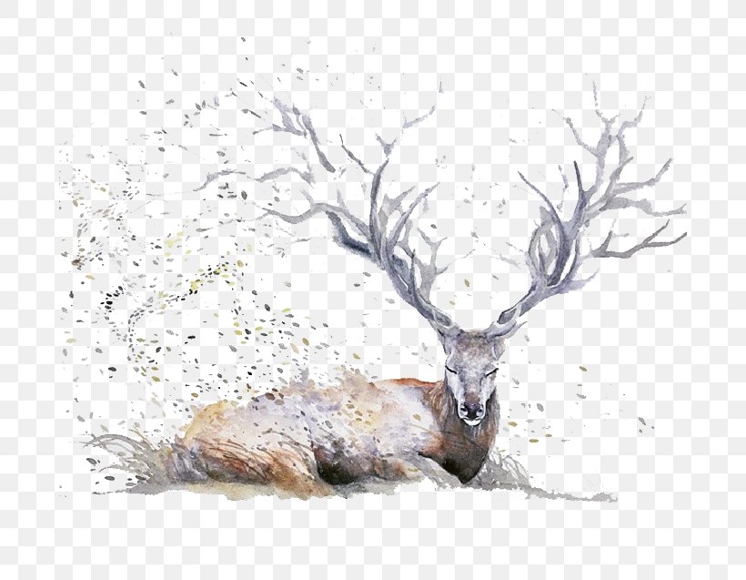 Deer Watercolor Painting Drawing Illustration, PNG, 768x637px, Deer, Animal, Antler, Art, Artist Download Free