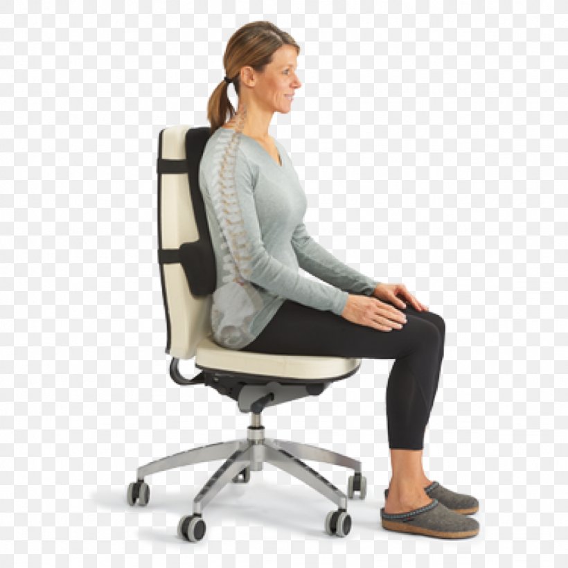 Lumbar Vertebrae Sitting Human Back Vertebral Column, PNG, 1024x1024px, Lumbar, Asento, Back Brace, Back Pain, Balance Download Free