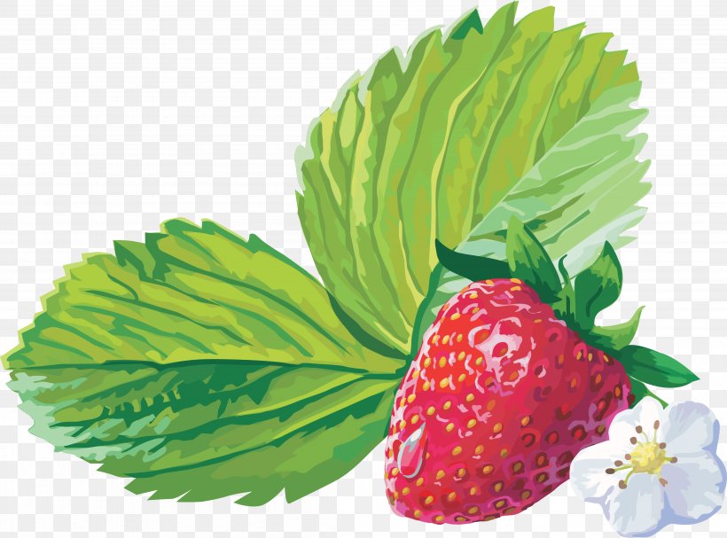 Musk Strawberry Fruit, PNG, 4385x3246px, Strawberry, Berry, Food, Fragaria, Fruit Download Free